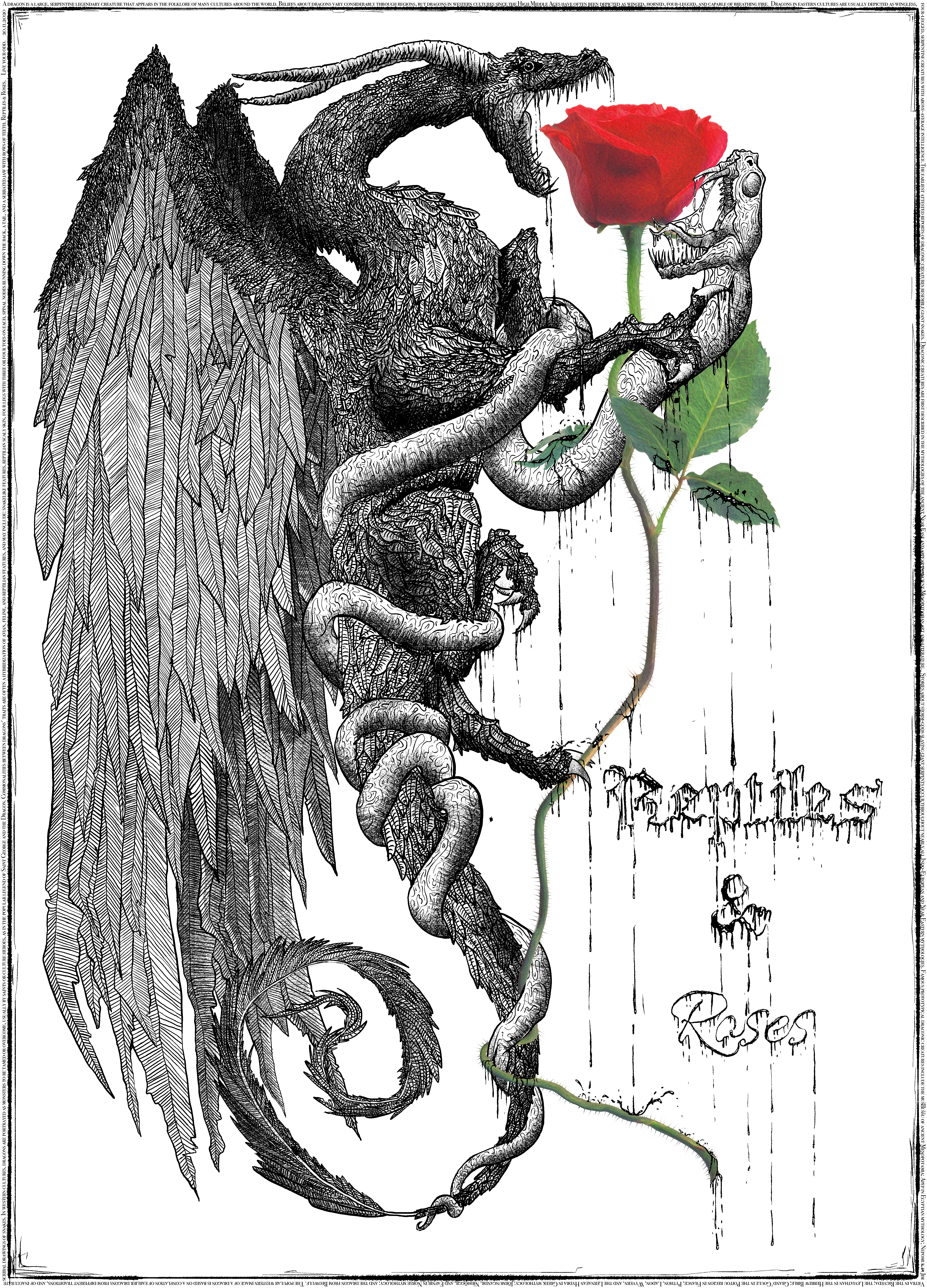 A dragon fighting a snake, by freelance artist Lucius Amberg.