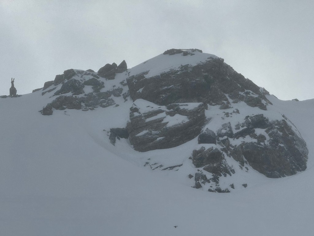 Capricorn  – Lucius N. Amberg